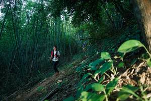 BIB: 
                            <button type="button" onclick="openModal(28124556)" class="btn btn-primary btn-sm float-right btn-popup" data-toggle="modal" data-target=".modal-high-quality">
                        <i class="fas fa-shopping-cart"></i> Add to Cart
                    </button>
                                            <button type="button" onclick="isThisMe(28124556, true)" class="btn btn-success btn-sm float-right btn-popup btn-isme hidden" data-toggle="tooltip" data-placement="bottom" title="นี่คือรูปของคุณใช่ไหม คลิกที่นี่เพื่อเอาเข้าอัลบั้ม">
                        <i class="fas fa-plus"></i> Add to album
                    </button>
                    <button type="button" onclick="isThisMe(28124556, false)" class="btn btn-warning btn-sm float-right btn-popup btn-isnotme hidden">
                        <i class="fas fa-ban"></i> Remove from album
                    </button>